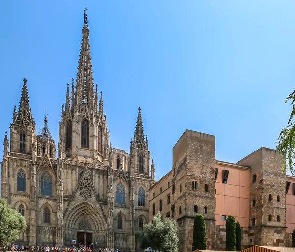 여름의 바르셀로나 대성당 — 스톡 사진