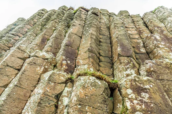 Calzada Gigantes Otoño Irlanda Del Norte — Foto de Stock