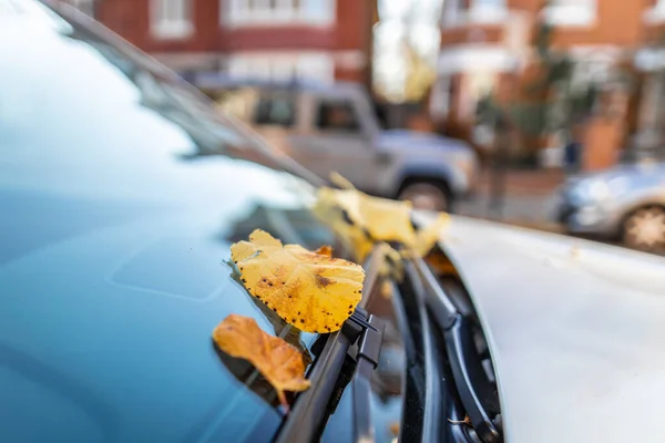 Periferia Londinese Chiswick Autunno Regno Unito — Foto Stock