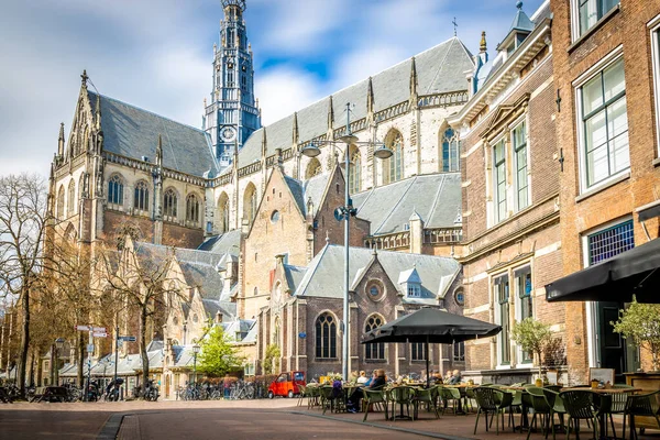 Catedral Gótica Clásica San Bavo Haarlem Países Bajos — Foto de Stock