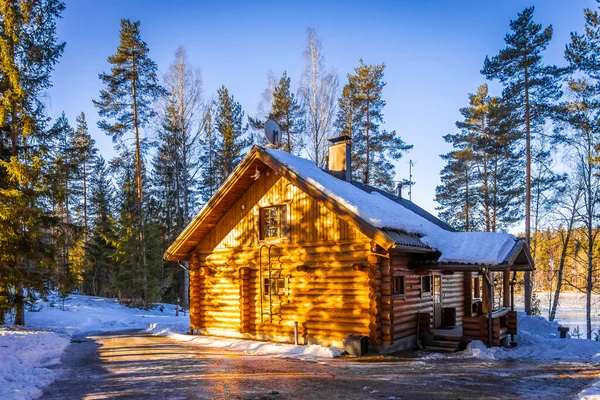 Деревянный Дом Зимнем Лесу — стоковое фото