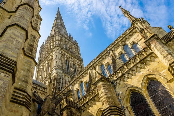 Salisbury Cathedral Sunny Day — Stock Photo, Image