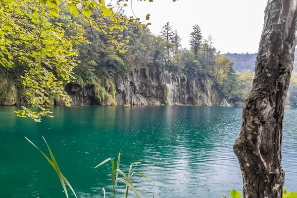 View Plitvice Tavak Horvátországban — Stock Fotó