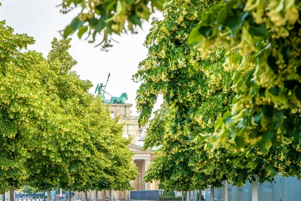 Porta Brandeburgo Nel Giorno Estate Berlino — Foto Stock