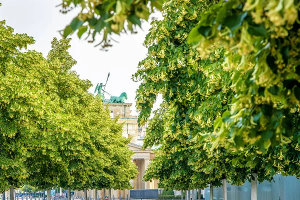 Porte Brandebourg Journée Été Berlin — Photo