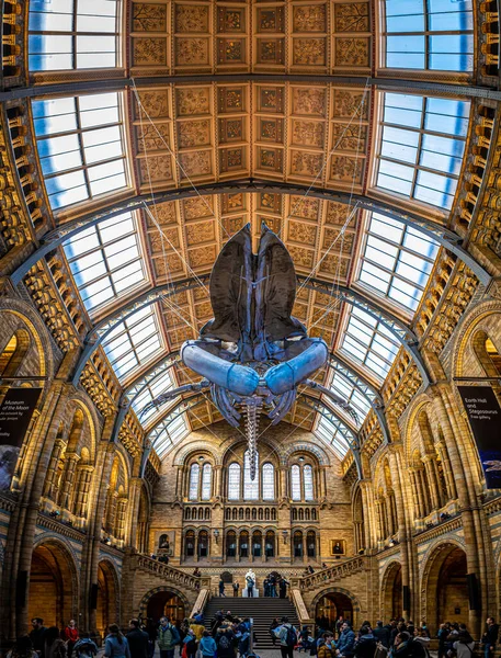 Blick Auf Das Natural History Museum London — Stockfoto