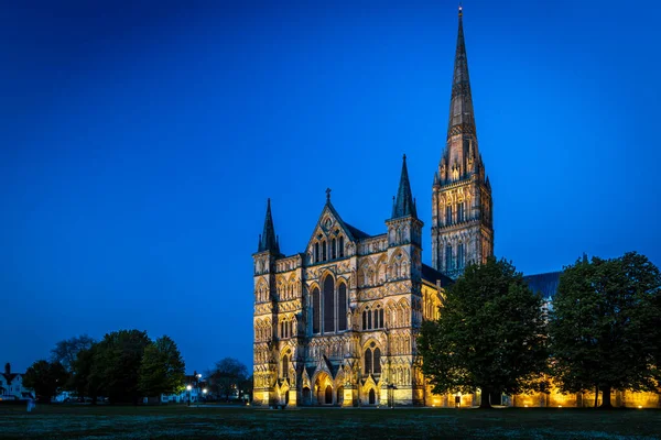 Widok Katedrę Salisbury Zmierzchu — Zdjęcie stockowe