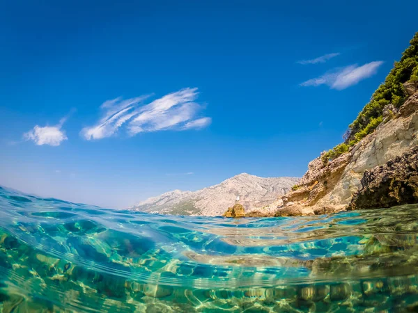 Чайка Скале Адриатическом Море — стоковое фото