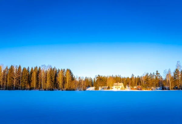 Forêt Matin Hiver — Photo