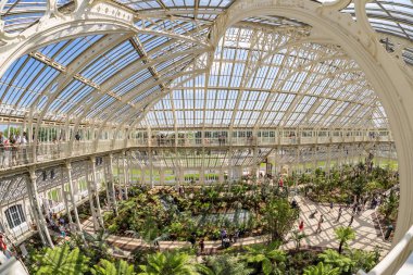 Londra 'daki Kew Gardens' ın ılıman evi.
