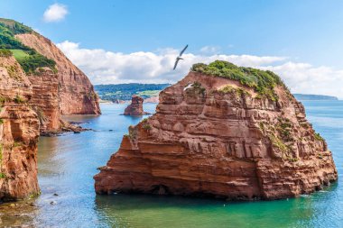 Jurassic sahil kıyısı (Devon), İngiltere 'de seyahat