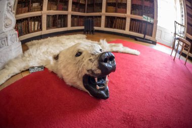 Sarayın derisini yüzün