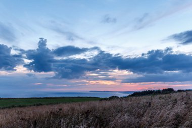 Yazın Wight Adası, İngiltere, İngiltere