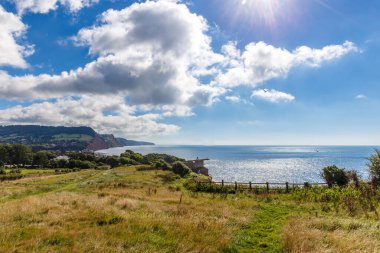 Jurassic sahil kıyısı (Devon), İngiltere 'de seyahat