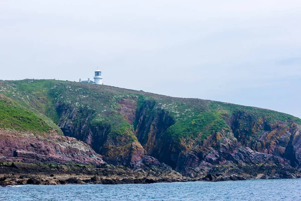 Havssälar Caldey Wales — Stockfoto