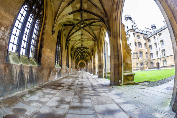 Cambridge in the summer day, UK