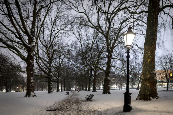 Snow Green Park Night London — Stock Photo, Image