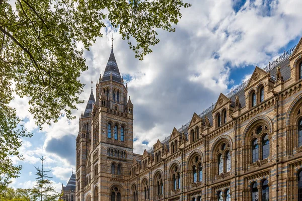 Museu História Natural Londres — Fotografia de Stock