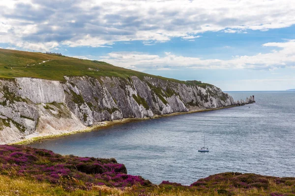 Isle Wight Sommaren England Storbritannien — Stockfoto