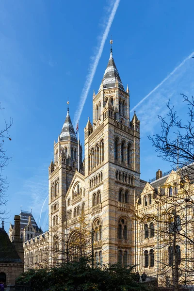 イギリス ロンドンの冬の自然史博物館 — ストック写真