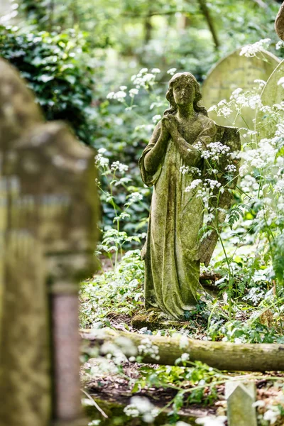 Nunhead Cemetry Spring — Stock fotografie