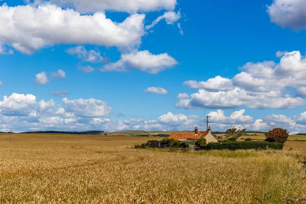 Isla Wight Verano Inglaterra Reino Unido — Foto de Stock