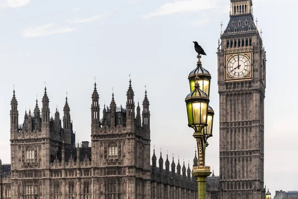 Raven Lampost Houses Parliament Early Winter Morning London — Stock Photo, Image