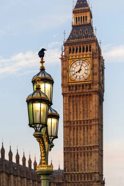 Raven Lampost Houses Parliament Early Winter Morning London — Stock Photo, Image