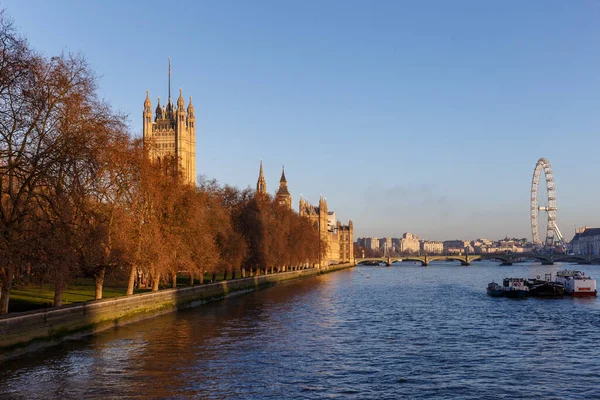 Houses Parliament Winter Morning Londra Regno Unito — Foto Stock