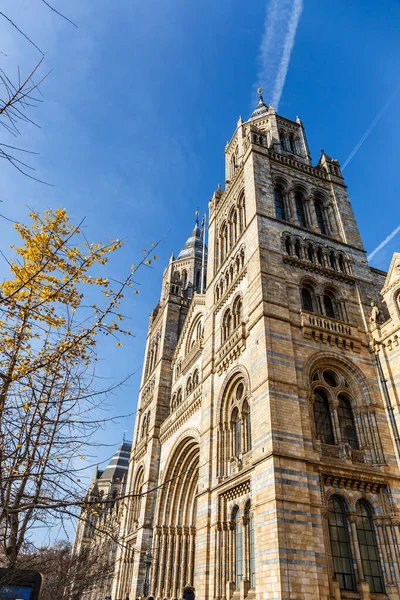 Museu História Natural Inverno Londres Inglaterra — Fotografia de Stock