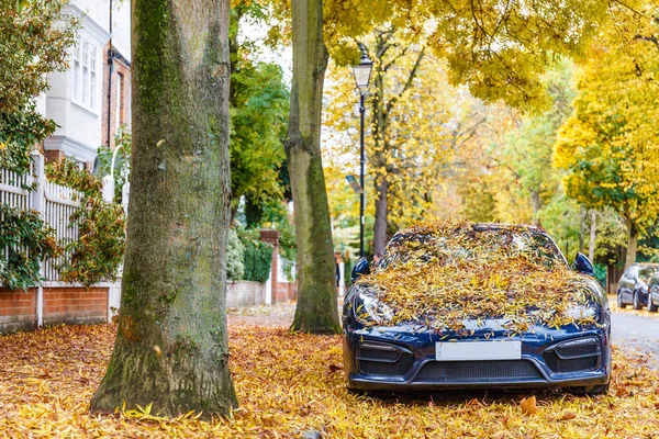 Chiswick Suburb Street Autumn Londra Inghilterra — Foto Stock