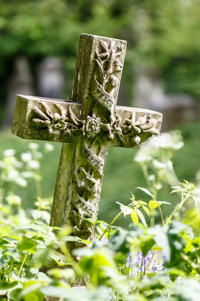 Nunhead Kyrkogård Våren — Stockfoto
