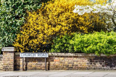 Richmond, Londra 'da kilise yolunda çiçek açıyor.