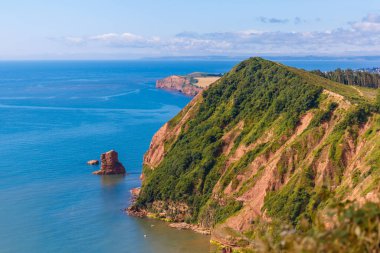 Jurassic sahil kıyısı (Devon), İngiltere 'de seyahat