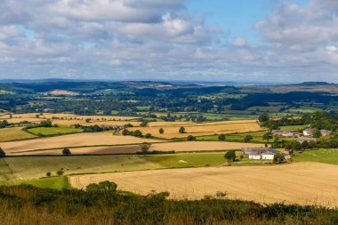Jurassic sahil kıyısı (Devon), İngiltere 'de seyahat