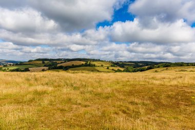 Jurassic sahil kıyısı (Devon), İngiltere 'de seyahat