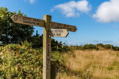 Jurassic sahil kıyısı (Devon), İngiltere 'de seyahat