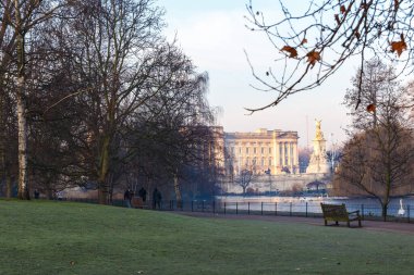 Kış sabahının erken saatlerinde Londra 'daki St. James parkında kuşlar.
