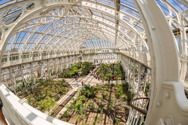 Londra 'daki Kew Gardens' ın ılıman evi.