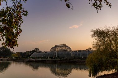 Kew Gardens 'da günbatımı, Londra, İngiltere