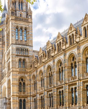 Londra 'daki Doğa Tarihi Müzesi