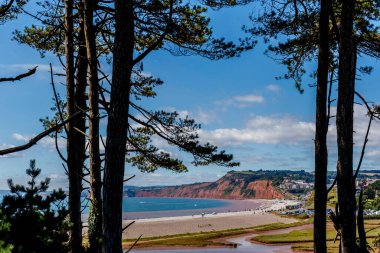 Jurassic sahil kıyısı (Devon), İngiltere 'de seyahat