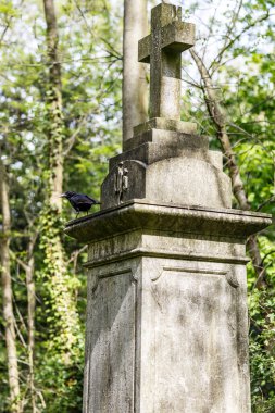 Baharda Nunhead mezarlığı