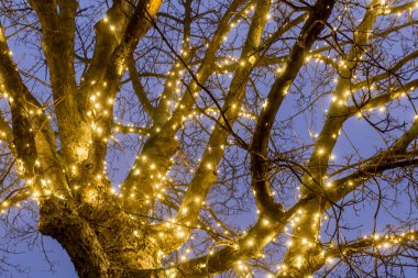 Avusturya 'da Noel gecesi park et.