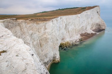 Seaford, South Downs, İngiltere yakınlarındaki tebeşir uçurumlarının manzarası