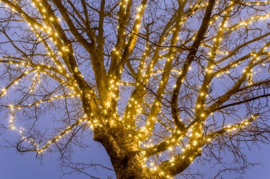 Avusturya 'da Noel gecesi park et.