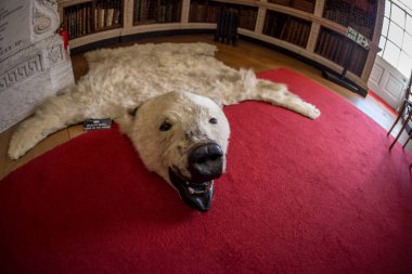 Sarayın derisini yüzün