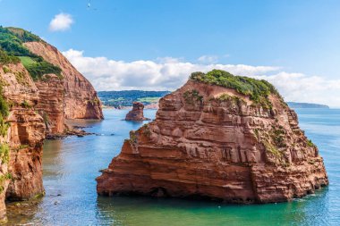 Jurassic sahil kıyısı (Devon), İngiltere 'de seyahat