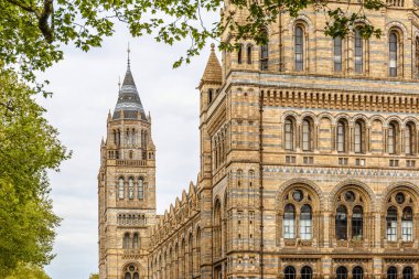 Londra 'daki Doğa Tarihi Müzesi