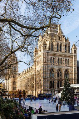 Kışın Doğal Tarih Müzesi, Londra, İngiltere